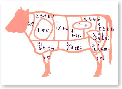 牛の部位説明図